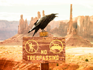 Wall Mural - monument valley, utah, usa