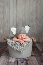 Newborn Baby Boy In An Elephant Costume