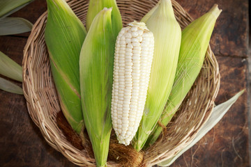 white corn on wooden background