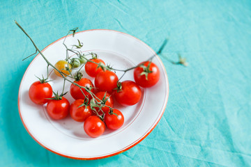 Canvas Print - cherry tomatoes