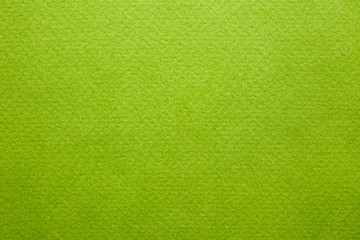 Wall Mural - Green cardboard