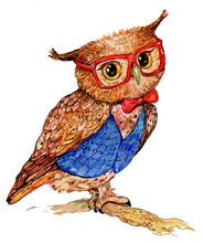 Watercolor Illustration, Fashion Owl With Glasses