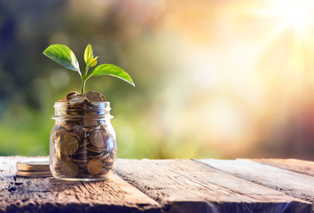 plant growing in savings coins - investment and interest concept