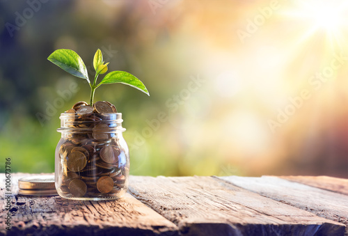 Fotografía Plant Growing In Savings Coins - Investment And Interest Concept