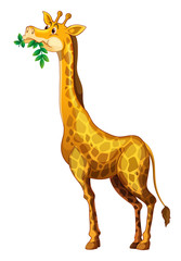  Cute giraffe chewing on leaves