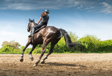 Fototapeta Konie -  woman riding a horse
