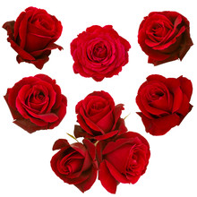 Collage Of Red Roses