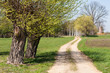 Polna droga i wiosenny wiejski krajobraz Mazowsza