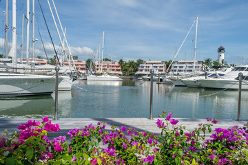 Wall Mural - Many luxury yachts park at the harbor in Phuket boat lagoon, Phuket, Thailand