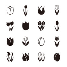 Tulip Icons, Vector Illustration