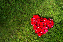 Red Heart From Rose Petals  On Grass.