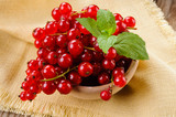 Ribes