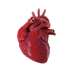 Sticker - 3d rendered human heart.