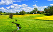 German countryside landscape with creek and yellow canola field