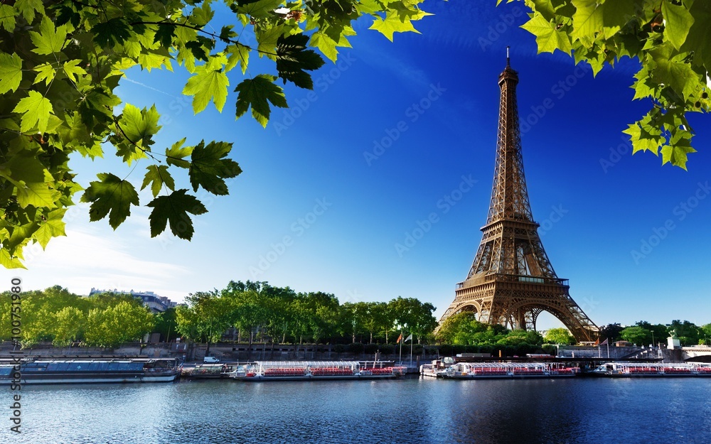 paris eiffel france river beach trees - obrazy, fototapety, plakaty 