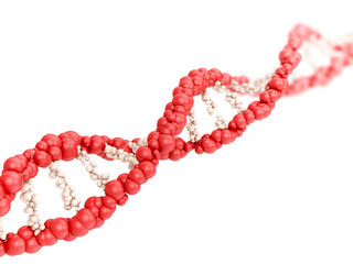 DNA molecule on white background