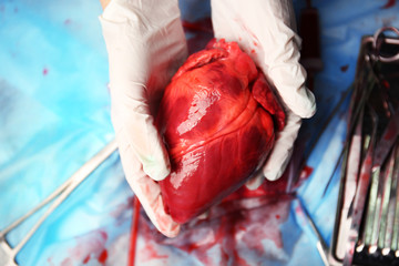 Heart and medical tools on operating table closeup