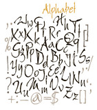 Fototapeta Młodzieżowe - vector set of calligraphic acrylic or ink alphabet.