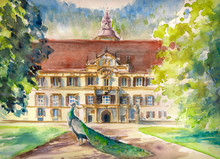 Watercolor Illustration Of Peacock In Park And Front Facade Of The Eggenberg Castle In Graz, Styria, Austria