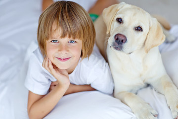 Wall Mural - kid are playing with dog at home 