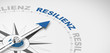 © Coloures-Pic - Resilienz oder psychische Widerstandsfähigkeit