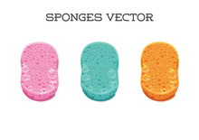 Vector Sponge Set For Cleaning