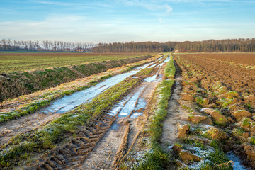 Wall Mural - Dirt road with frozen puddles and tire tracks