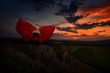 beautiful woman with red cloak in the sunset light in spring