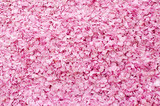 cherry blossom carpet