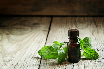 Essential oil of peppermint in a small brown bottle with fresh g