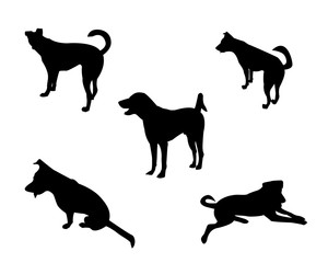 Set of dog silhouette white background