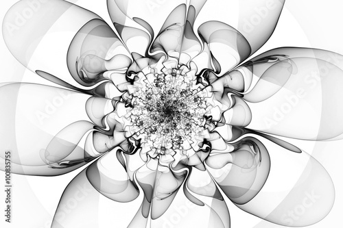 Obraz w ramie Abstract fractal flower on white background