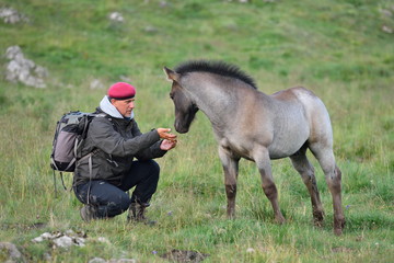 Wall Mural - photographer outdoor with horse