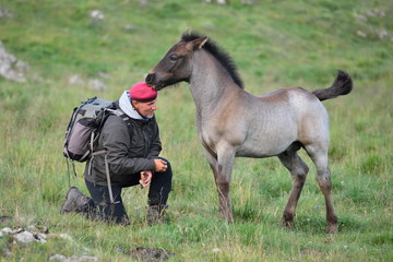 Wall Mural - photographer outdoor with horse