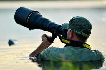 Wall Mural - wildlife photographer outdoor