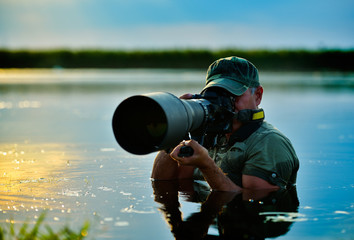 Wall Mural - wildlife photographer outdoor in action