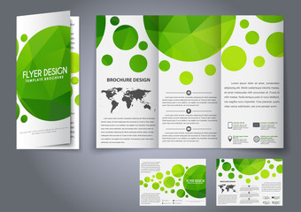 Template design three fold flyer, brochure