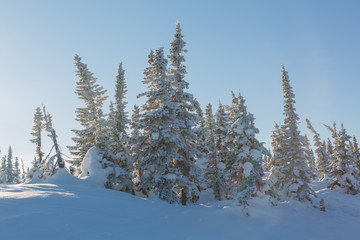 Beautiful winter landscape.