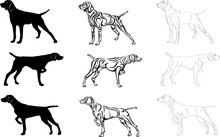 Dog, Bird Dog, Dog Hunting, Shooting, Fowling, Breed, Silhouette, Vector, Symbol, Kurzhaar