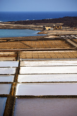 pond water coastline salt in  lanzarote spain musk  rock stone s