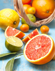 Sticker - slices of grapefruit, different fresh citrus fruit