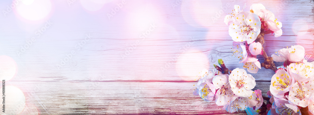 Pink Blossoms On Wooden With Bokeh Lights
 - obrazy, fototapety, plakaty 