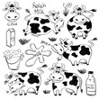 Set Of Isolated Funny Cow Icons.