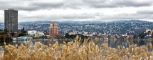 Oakland, California View Across Lake Merritt And Hills, With Selective Focus On Foreground Plants
