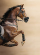 Close-up of chestnut jumping horse in a hackamore