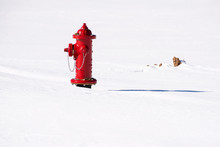Fire Hydrant In The Smow