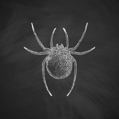 Poster - spider icon