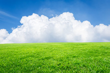 Field Of Green Grass And Blue Sky
