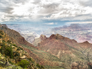 Wall Mural - grand canyon national park, arizona, usa