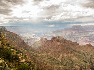 Wall Mural - grand canyon national park, arizona, usa